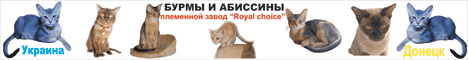 Донецкий племенной завод породы кошек Бурма и Абиссины *THE ROYAL CHOICE*(Украина).